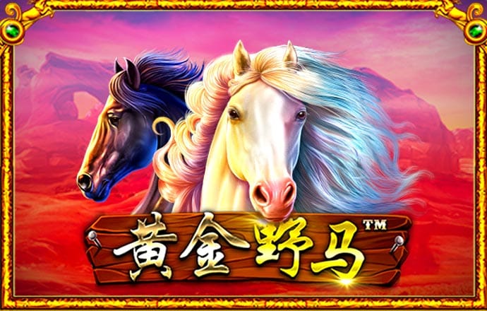 Bsport体育最新版官网入口